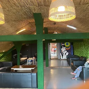 book here